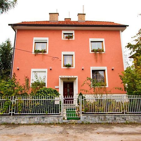 Guest House Pikapolonca Maribor Exteriér fotografie